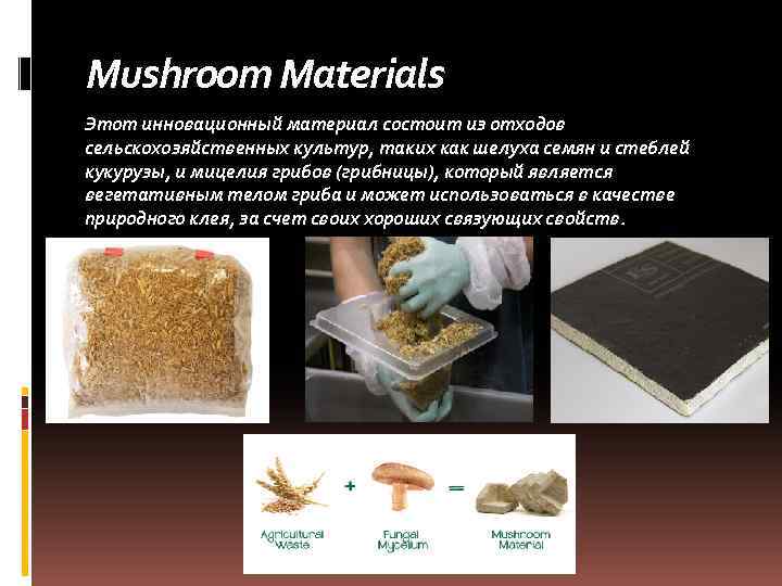 Mushroom Materials Этот инновационный материал состоит из отходов сельскохозяйственных культур, таких как шелуха семян