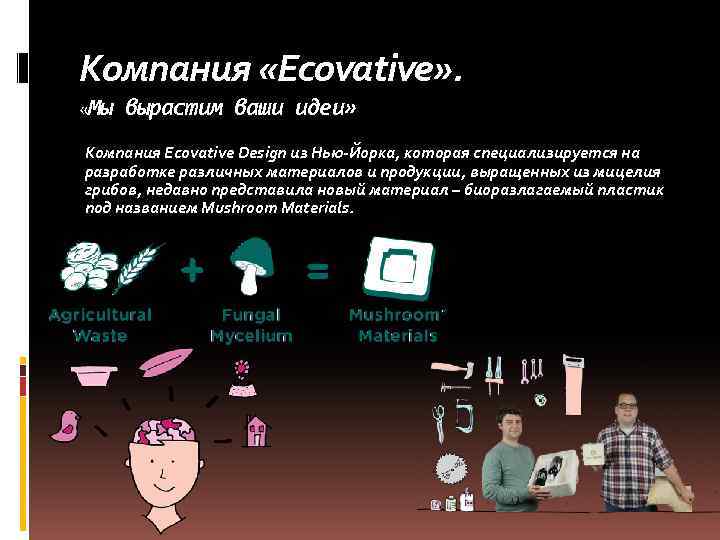 Компания «Ecovative» . «Мы вырастим ваши идеи» Компания Ecovative Design из Нью-Йорка, которая специализируется