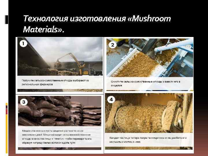 Технология изготовления «Mushroom Materials» . 