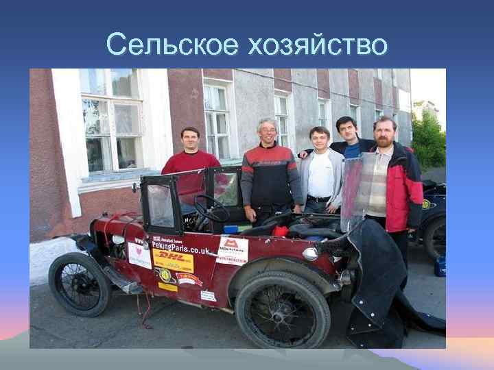 Сельское хозяйство • Сельскохозяйственным производством занимаются 8 акционерных обществ, 83 крестьянско-фермерских хозяйства и индивидуальных