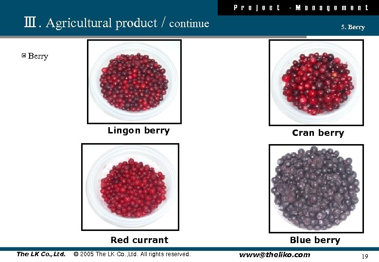 P r o j e c t - M a n a g e