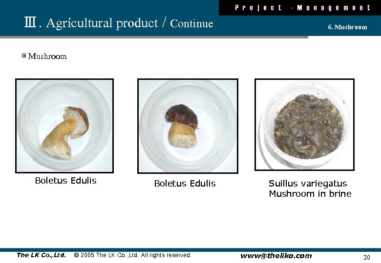 P r o j e c t - M a n a g e