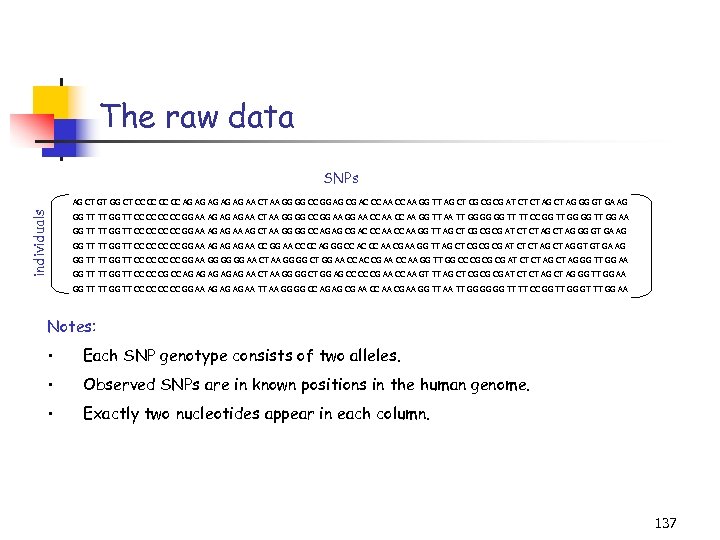 The raw data SNPs individuals AG CT GT GG CT CC CC AG AG