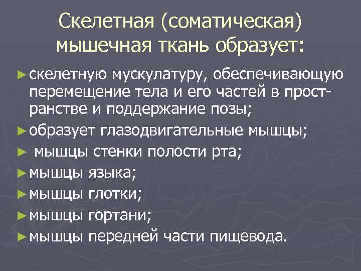 Скелетная (соматическая) мышечная ткань образует: ► скелетную мускулатуру, обеспечивающую перемещение тела и его частей