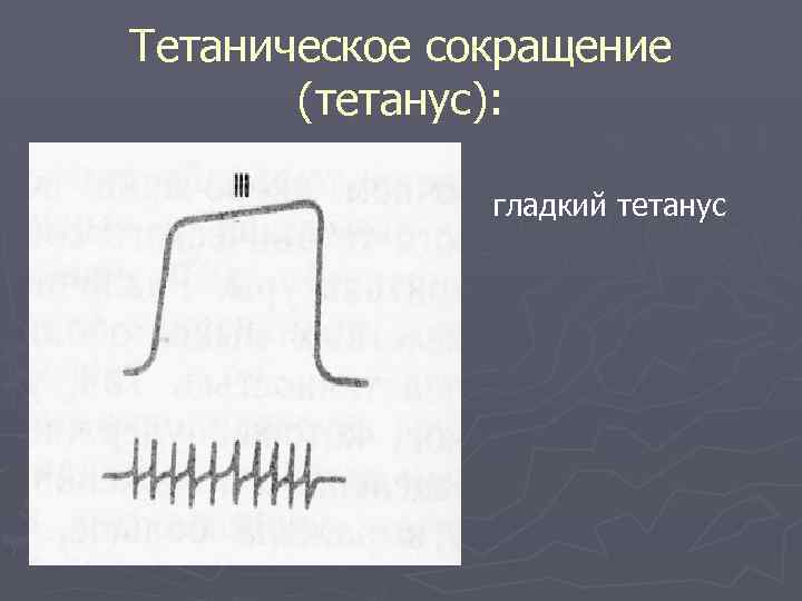 Тетаническое сокращение (тетанус): гладкий тетанус 
