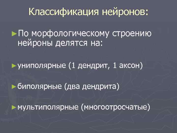 Классификация нейронов: ►По морфологическому строению нейроны делятся на: ► униполярные ► биполярные (1 дендрит,