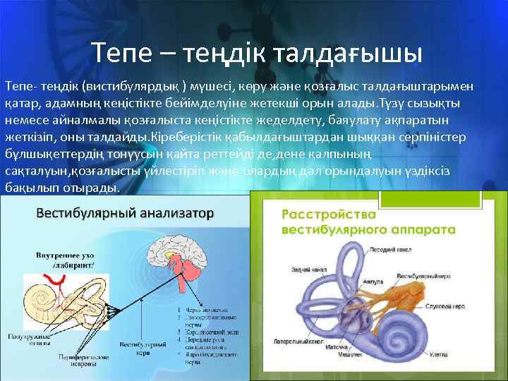 Көз оптикалық жүйе көздiң көру кемшіліктері және оларды түзету әдiстері 8 сынып презентация