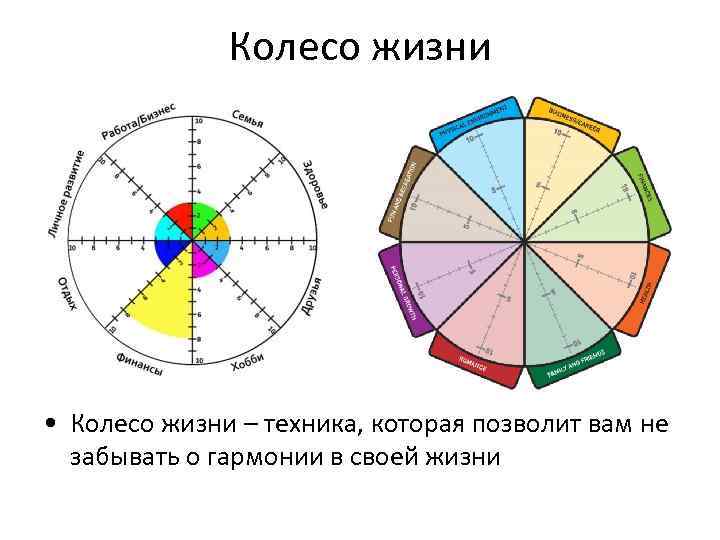 Колесо жизни • Колесо жизни – техника, которая позволит вам не забывать о гармонии