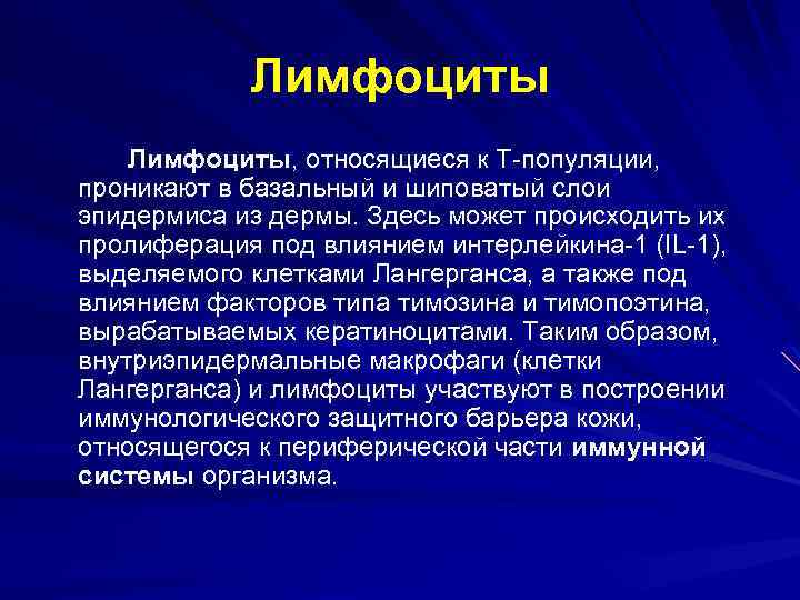 Лимфоциты, относящиеся к Т-популяции, проникают в базальный и шиповатый слои эпидермиса из дермы. Здесь
