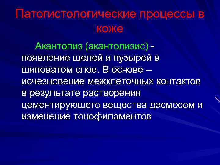 Патогистологические процессы в коже Акантолиз (акантолизис) - появление щелей и пузырей в шиповатом слое.