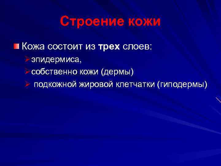 Строение кожи Кожа состоит из трех слоев: Øэпидермиса, Øсобственно кожи (дермы) Ø подкожной жировой
