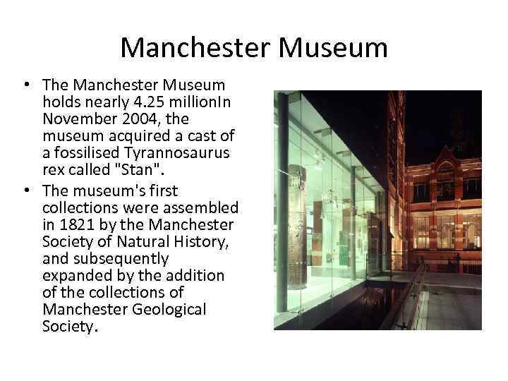 Manchester Museum • The Manchester Museum holds nearly 4. 25 million. In November 2004,
