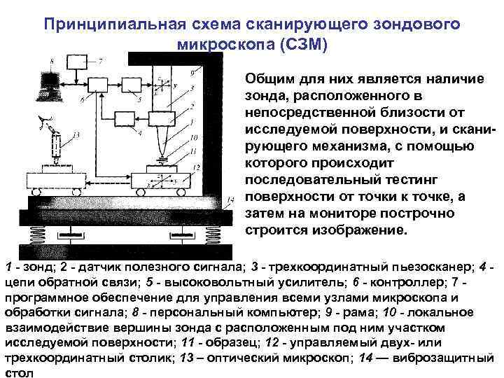 Принципиальная схема сканирующего зондового микроскопа (СЗМ) Общим для них является наличие зонда, расположенного в