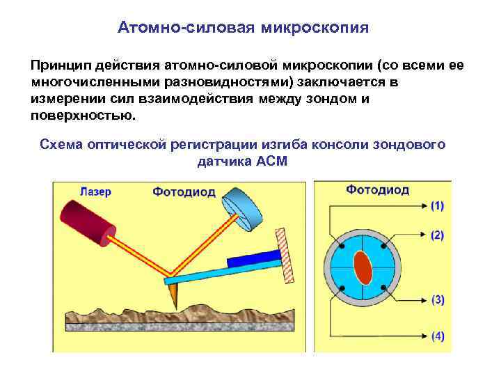 Сканирующая зондовая микроскопия фото