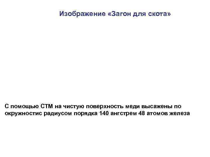 Изображение «Загон для скота» С помощью СТМ на чистую поверхность меди высажены по окружностис