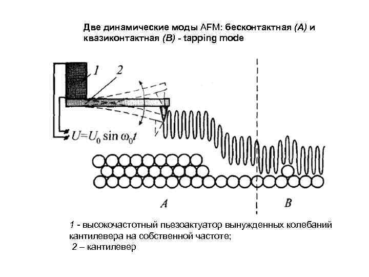 Две динамические моды AFM: бесконтактная (А) и квазиконтактная (В) - tapping mode 1 -