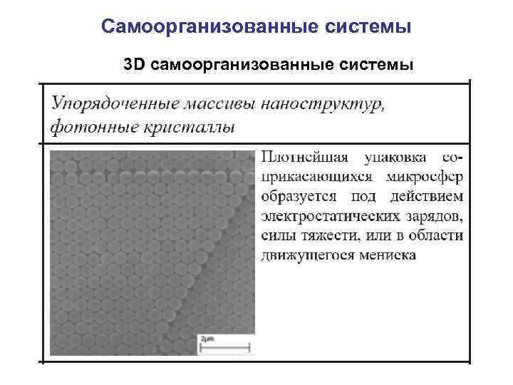 Самоорганизованные системы 3 D cамоорганизованные системы 