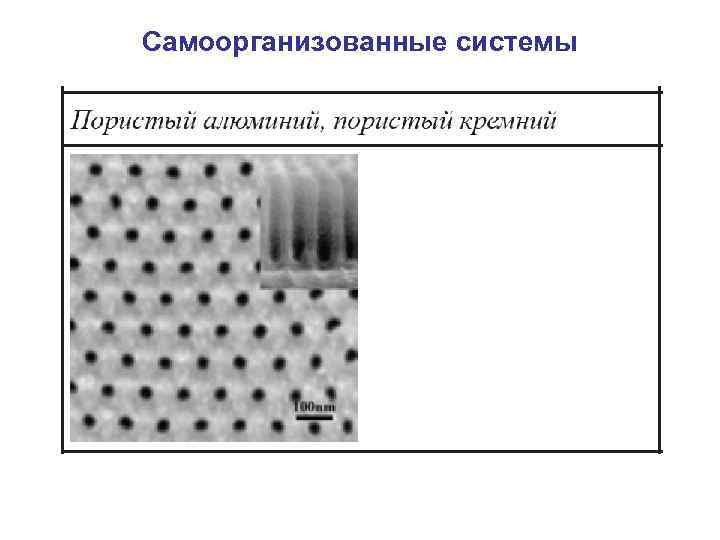 Самоорганизованные системы 