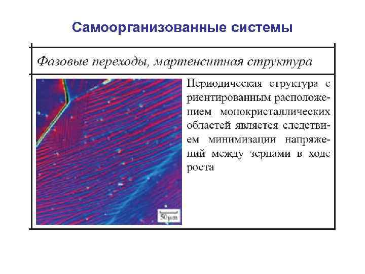 Самоорганизованные системы 