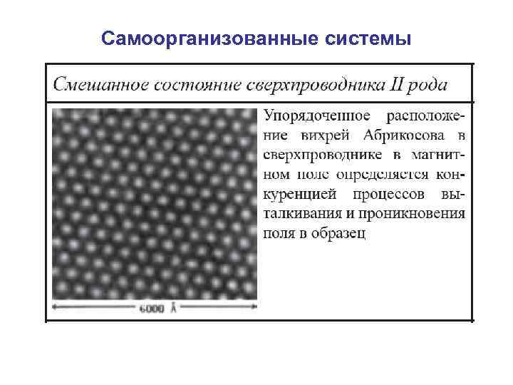 Самоорганизованные системы 