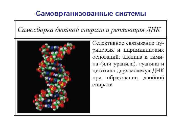 Самоорганизованные системы 