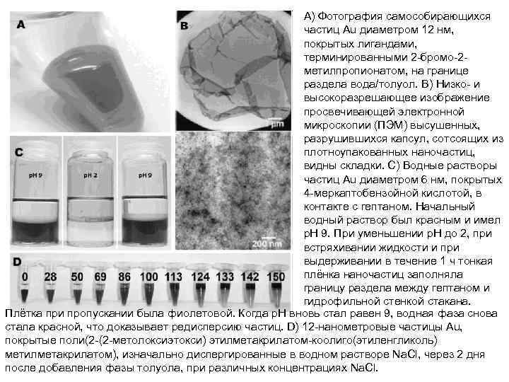 A) Фотография самособирающихся частиц Au диаметром 12 нм, покрытых лигандами, терминированными 2 -бромо-2 метилпропионатом,