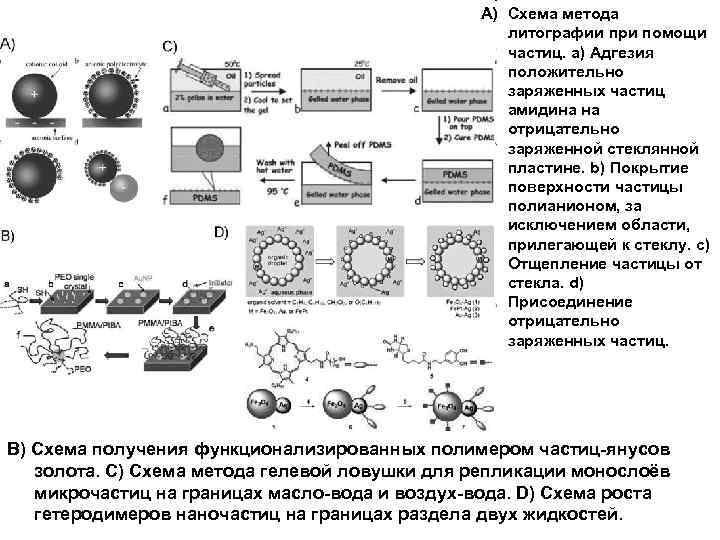 A) Схема метода литографии при помощи частиц. a) Адгезия положительно заряженных частиц амидина на