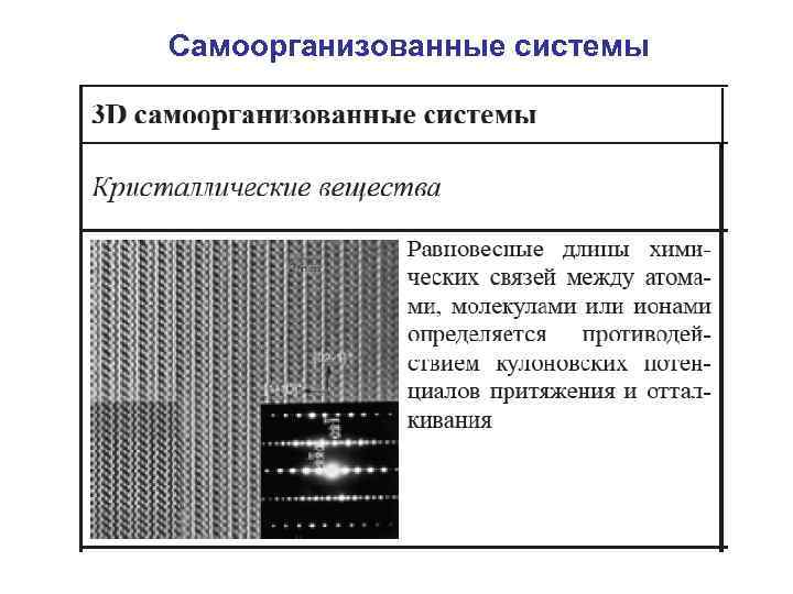 Самоорганизованные системы 