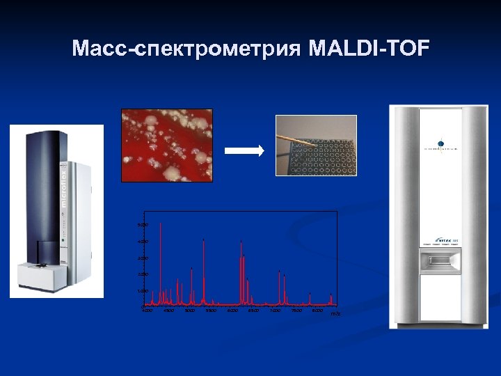 Масс-спектрометрия MALDI-TOF 5000 4000 3000 2000 1000 0 4000 4500 5000 5500 6000 6500