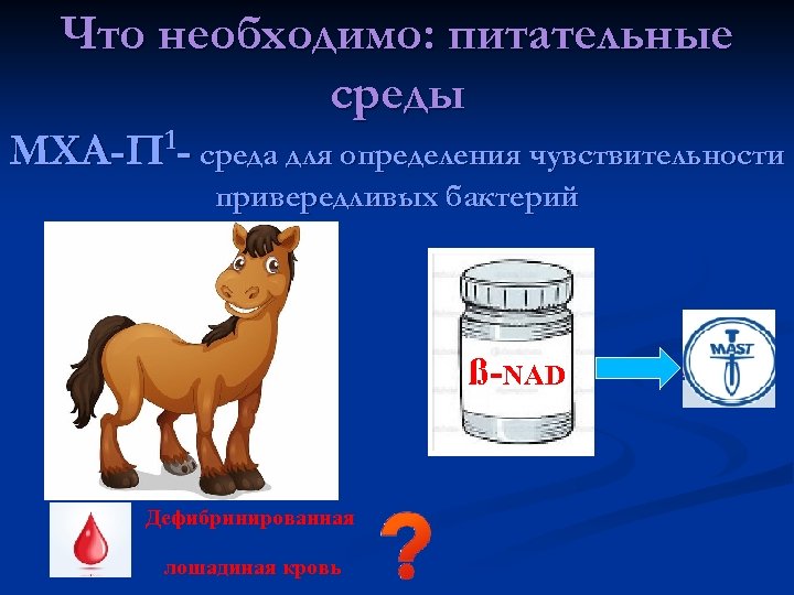 Что необходимо: питательные среды 1 МХА-П - среда для определения чувствительности привередливых бактерий ß-NAD