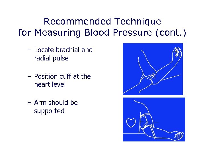 Recommended Technique for Measuring Blood Pressure (cont. ) – Locate brachial and radial pulse