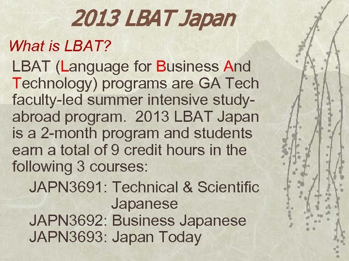 2013 LBAT Japan What is LBAT? LBAT (Language for Business And Technology) programs are