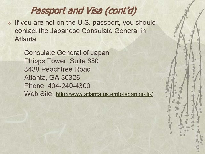 Passport and Visa (cont’d) v If you are not on the U. S. passport,