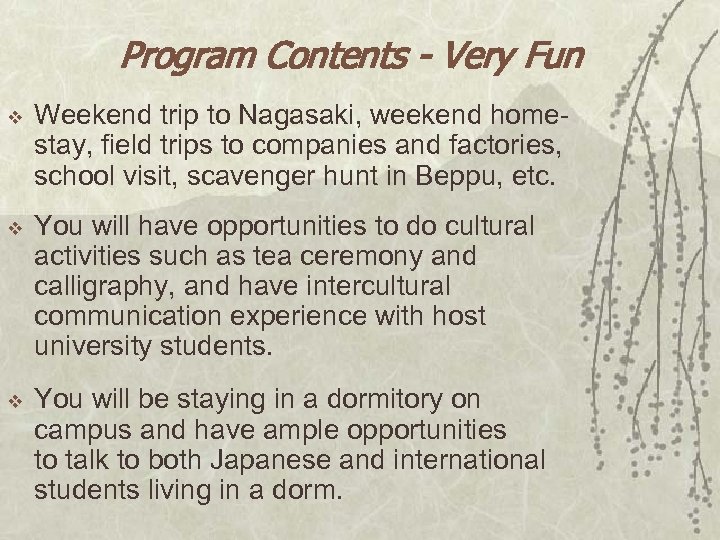 Program Contents - Very Fun v Weekend trip to Nagasaki, weekend homestay, field trips
