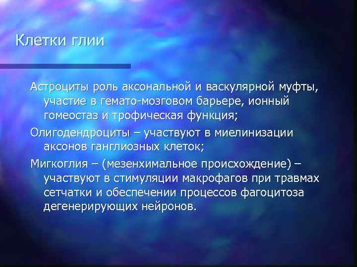 Клетки глии Астроциты роль аксональной и васкулярной муфты, участие в гемато-мозговом барьере, ионный гомеостаз