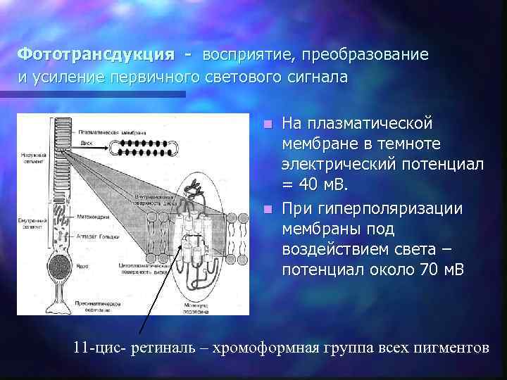 Изображение кадра преобразуется с помощью передающей вакуумной электронной трубки которая называется