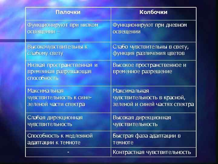 Палочки Колбочки Функционируют при низком освещении – Функционируют при дневном освещении Высокочувствительны к слабому
