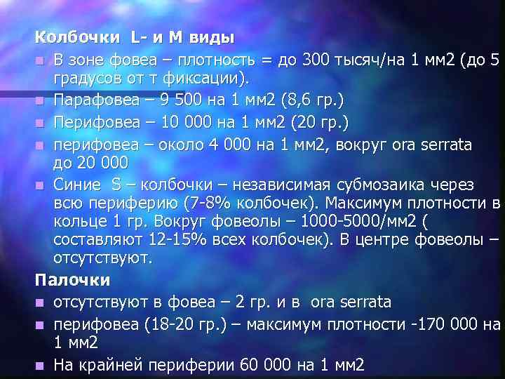 Колбочки L- и M виды n В зоне фовеа – плотность = до 300