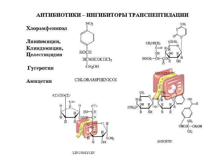 АНТИБИОТИКИ – ИНГИБИТОРЫ ТРАНСПЕПТИДАЦИИ Хлорамфеникол Линкомицин, Клиндамицин, Целестицидин Гугеротин Амицетин 