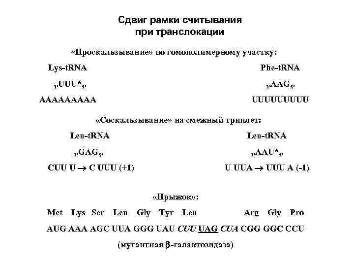 Сдвиг рамки считывания при транслокации «Проскальзывание» по гомополимерному участку: Lys-t. RNA Phe-t. RNA 3'UUU*5'