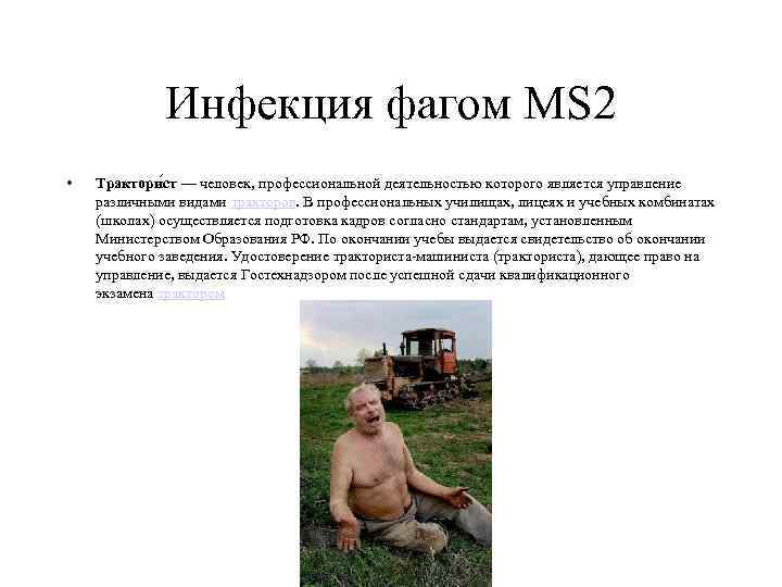 Инфекция фагом MS 2 • Трактори ст — человек, профессиональной деятельностью которого является управление