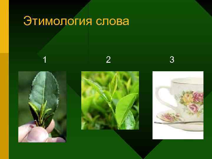 Этимология слова 1 2 3 