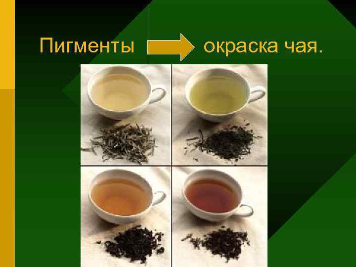 Пигменты окраска чая. 