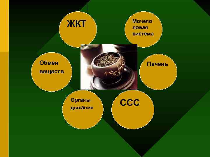 ЖКТ Мочепо ловая система Обмен веществ Печень Органы дыхания ССС 