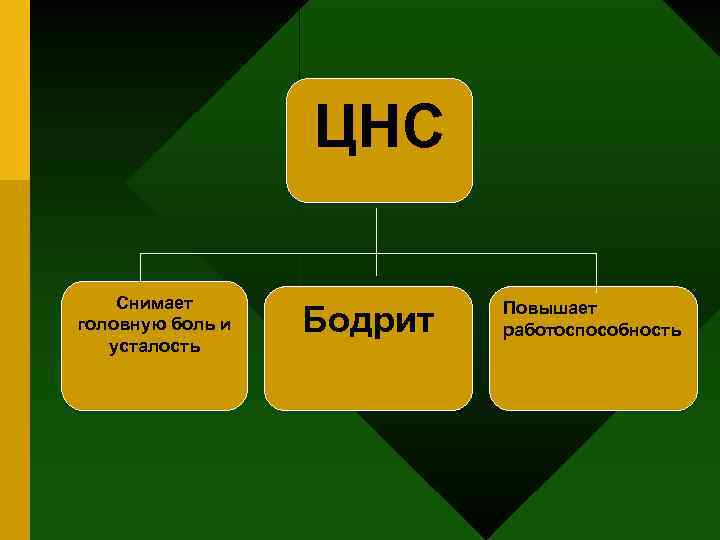 ЦНС Снимает головную боль и усталость Бодрит Повышает работоспособность 