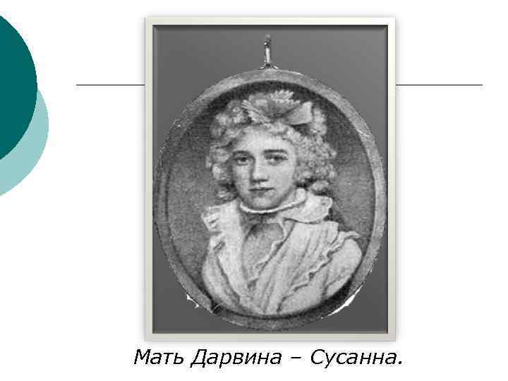 Мать Дарвина – Сусанна. 