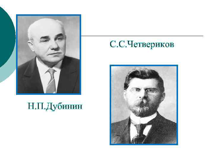 С. С. Четвериков Н. П. Дубинин 