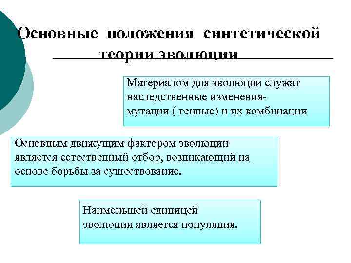 Основные положения синтетической теории эволюции Материалом для эволюции служат наследственные изменениямутации ( генные) и