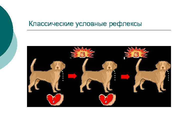 Классические условные рефлексы 