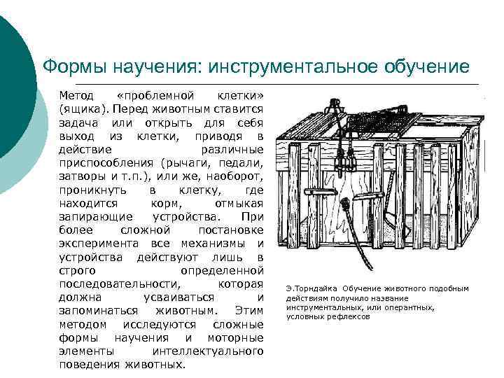 Формы научения: инструментальное обучение Метод «проблемной клетки» (ящика). Перед животным ставится задача или открыть